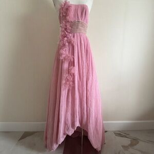 Vintage bcbgmaxazria pink tulle dress